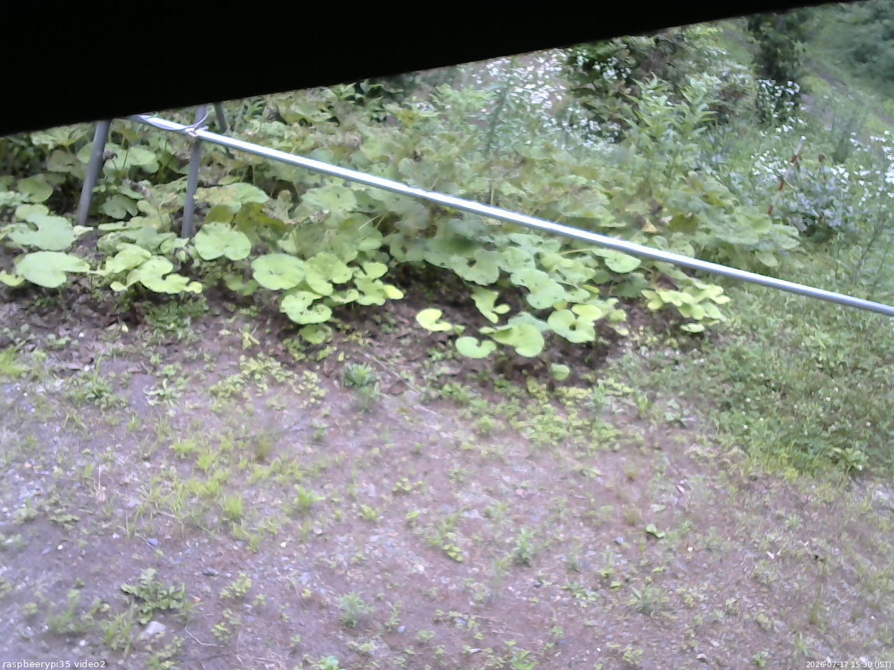 長野県菅平高原 ゆたか山荘 駐車場 2026/07/17 15:30