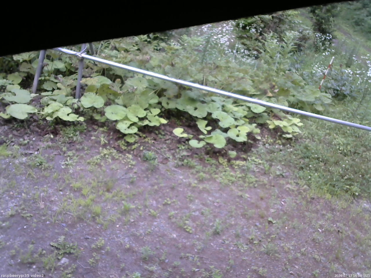 長野県菅平高原 ゆたか山荘 駐車場 2026/07/17 16:00