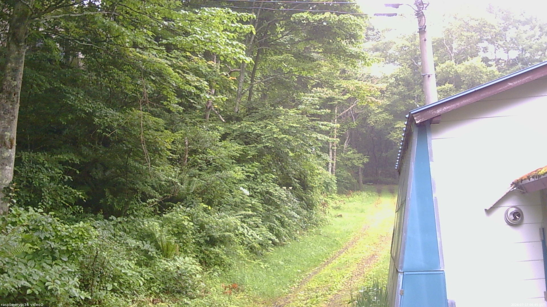 長野県菅平高原 ゆたか山荘 ゆたか山荘 2026/07/17 06:45