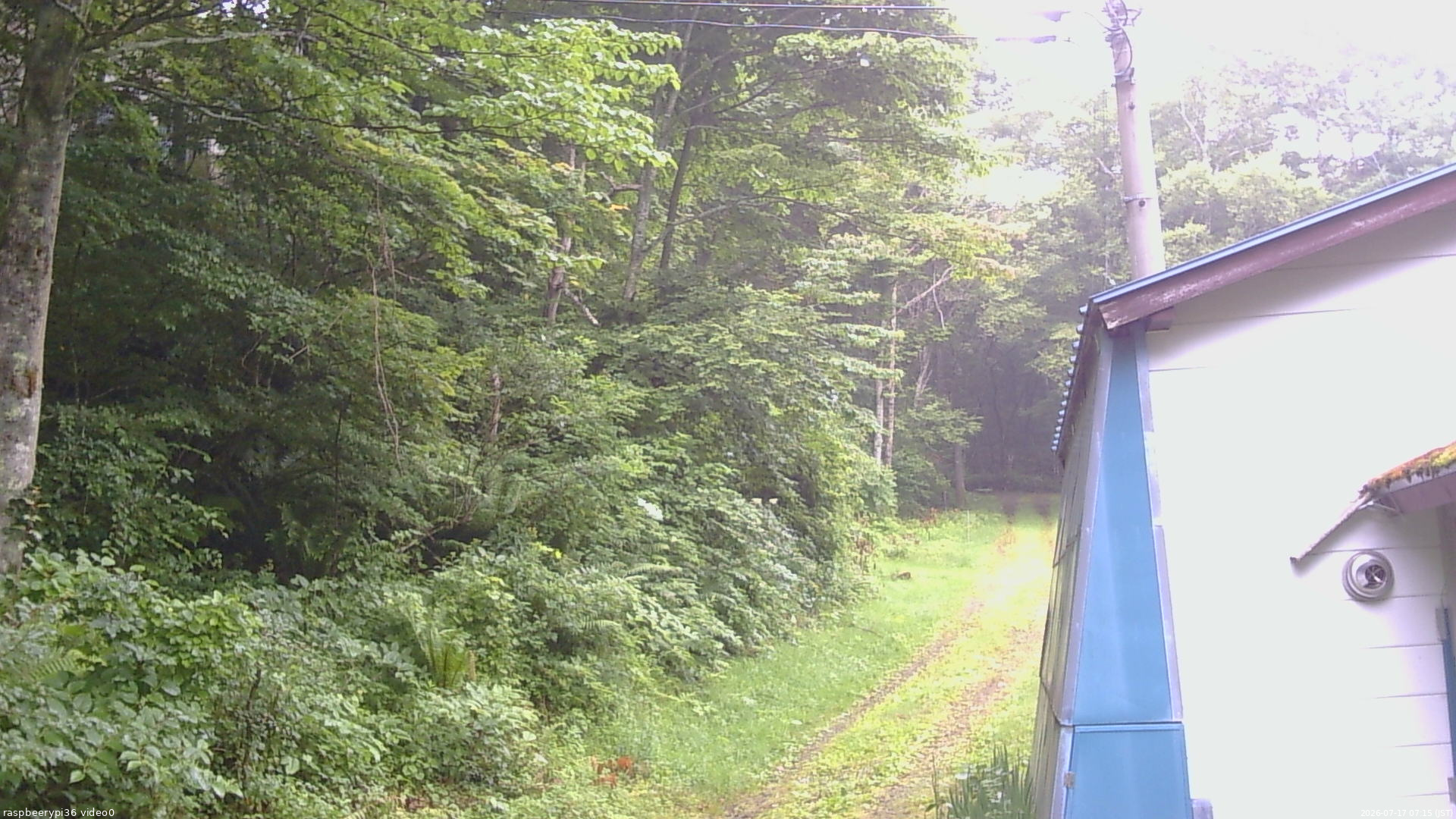 長野県菅平高原 ゆたか山荘 ゆたか山荘 2026/07/17 07:15