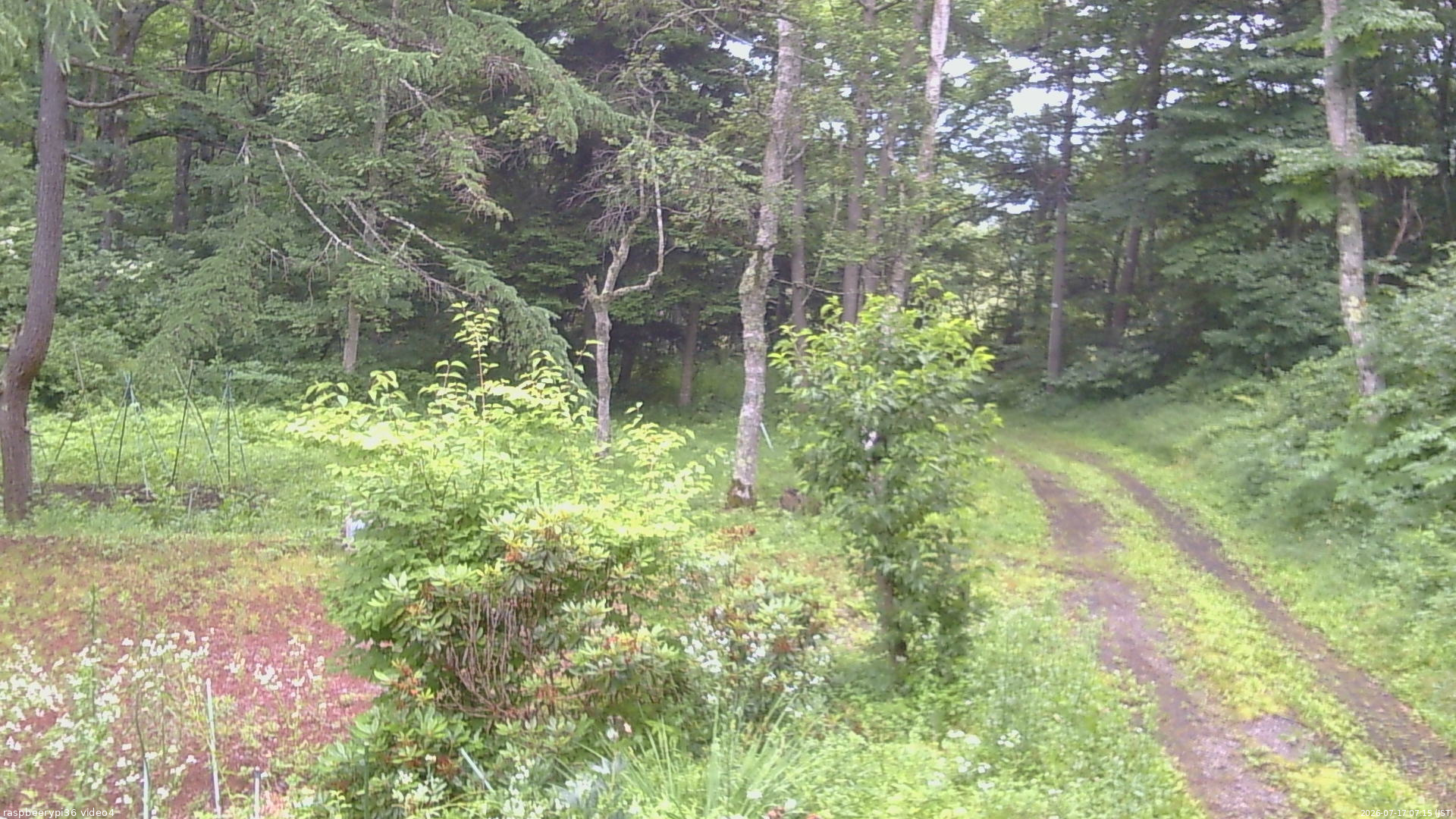 長野県菅平高原 ゆたか山荘 坂上 2026/07/17 07:15
