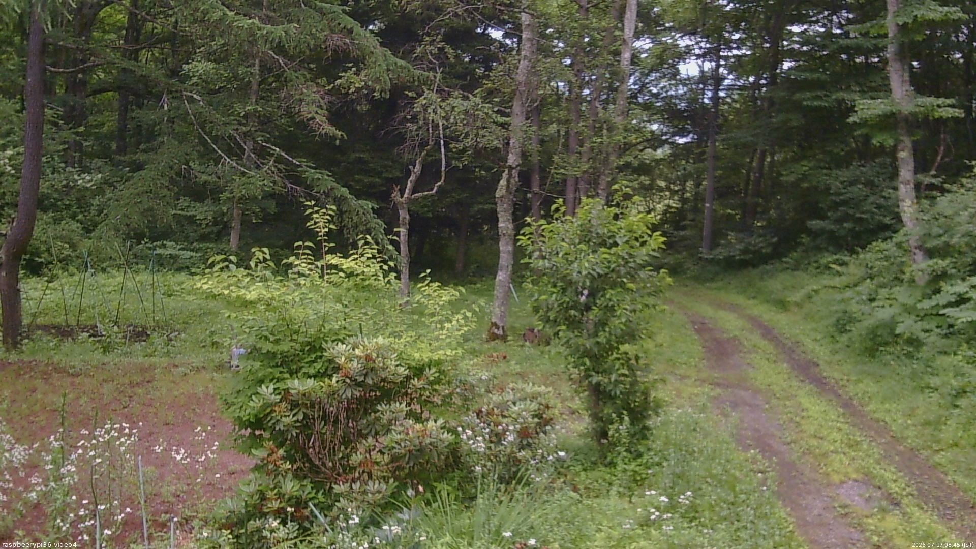 長野県菅平高原 ゆたか山荘 坂上 2026/07/17 08:45