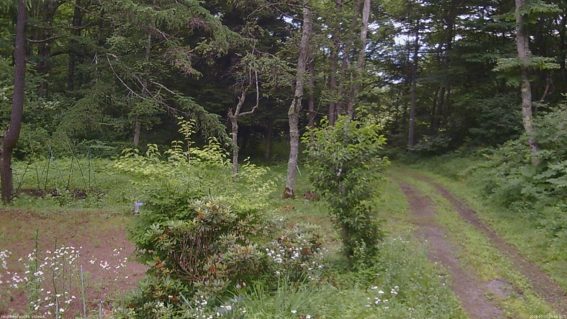 長野県菅平高原 ゆたか山荘 坂上 2026/07/17 09:45