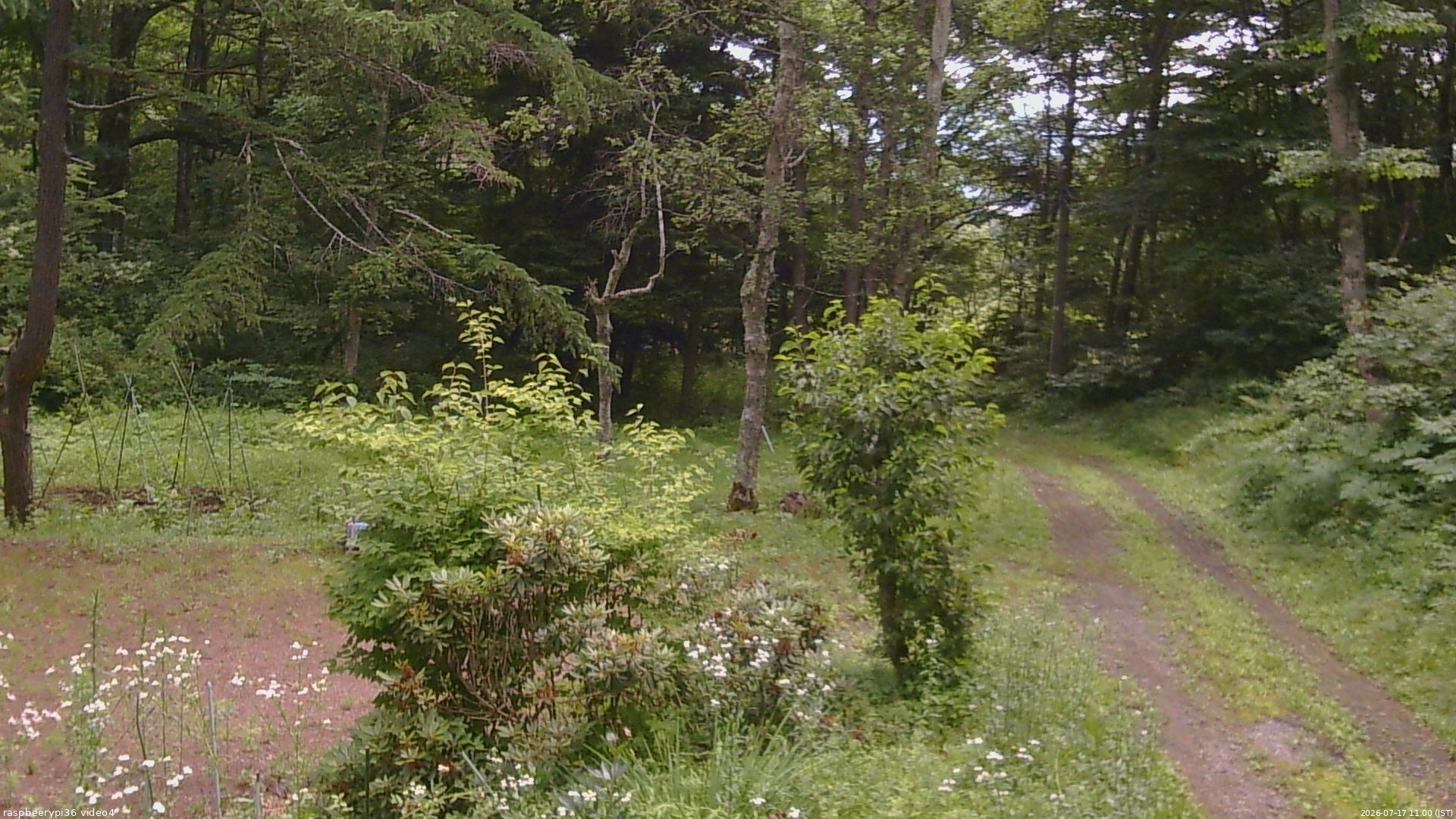 長野県菅平高原 ゆたか山荘 坂上 2026/07/17 11:00