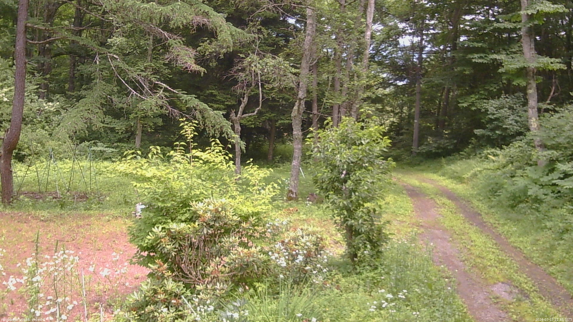 長野県菅平高原 ゆたか山荘 坂上 2026/07/17 12:45