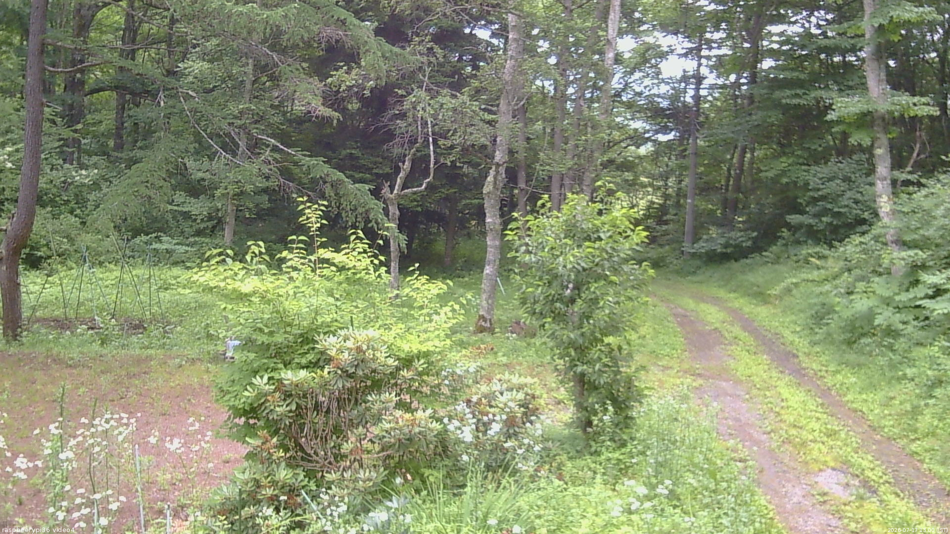 長野県菅平高原 ゆたか山荘 坂上 2026/07/17 13:00