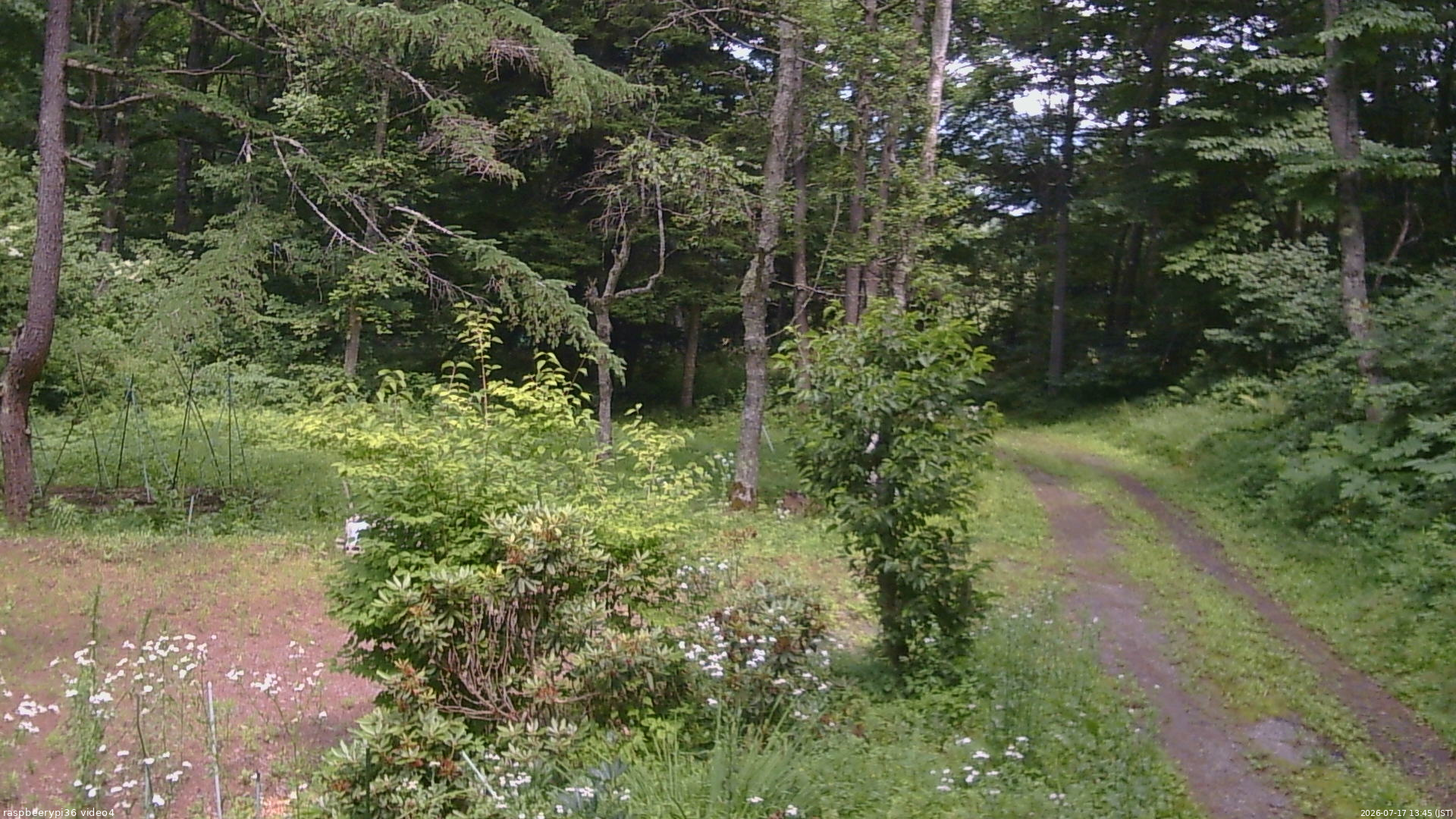 長野県菅平高原 ゆたか山荘 坂上 2026/07/17 13:45