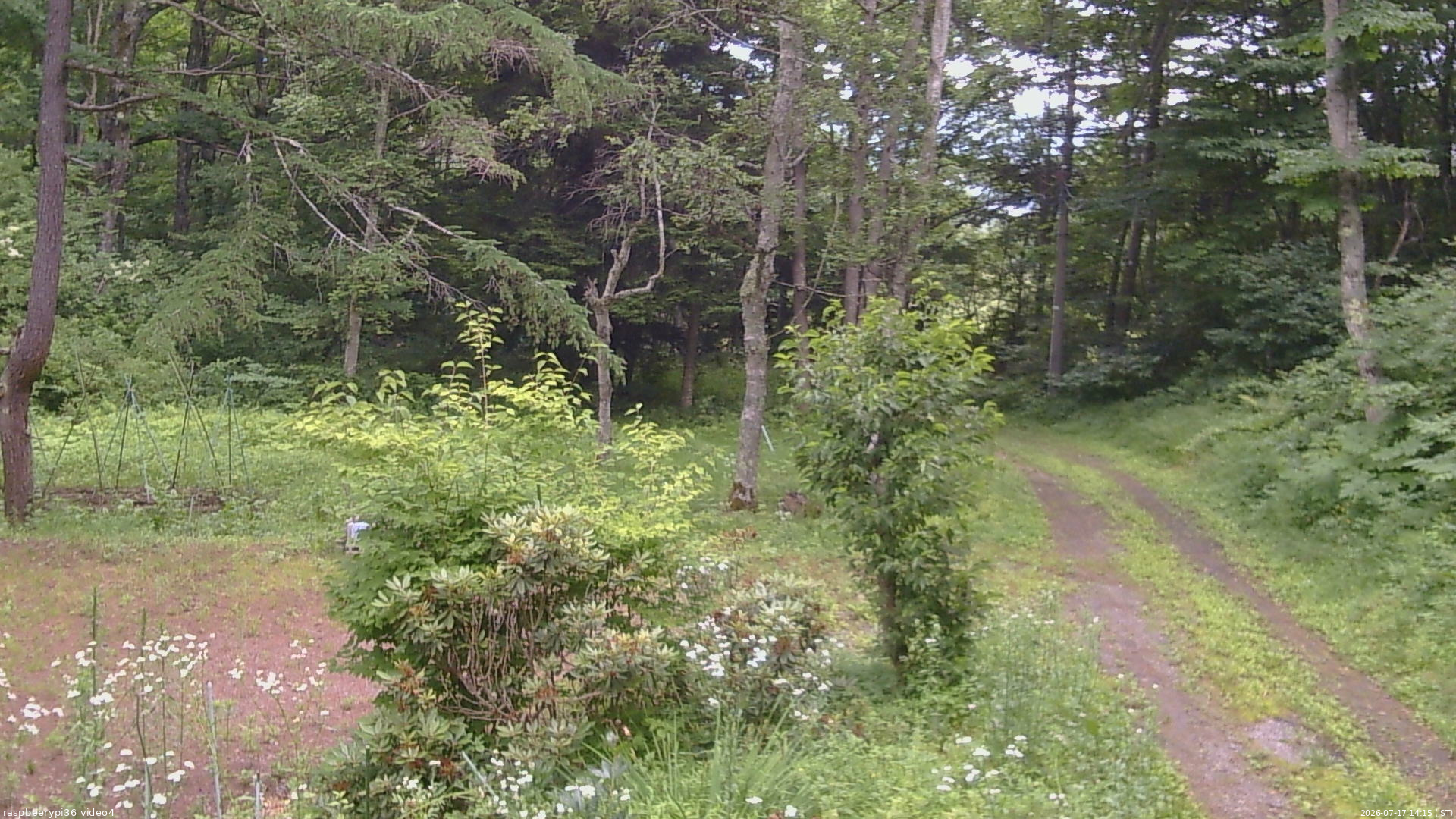 長野県菅平高原 ゆたか山荘 坂上 2026/07/17 14:15