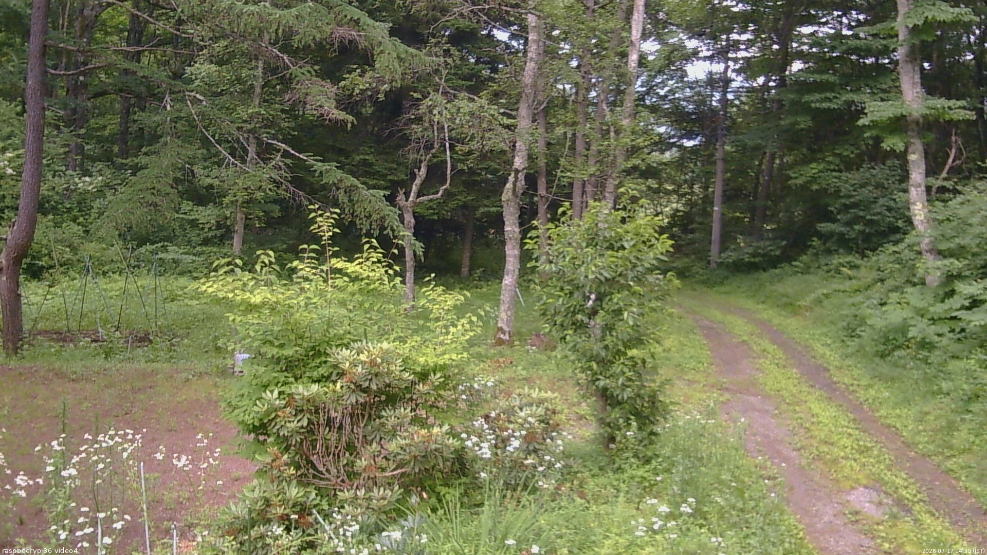 長野県菅平高原 ゆたか山荘 坂上 2026/07/17 14:30