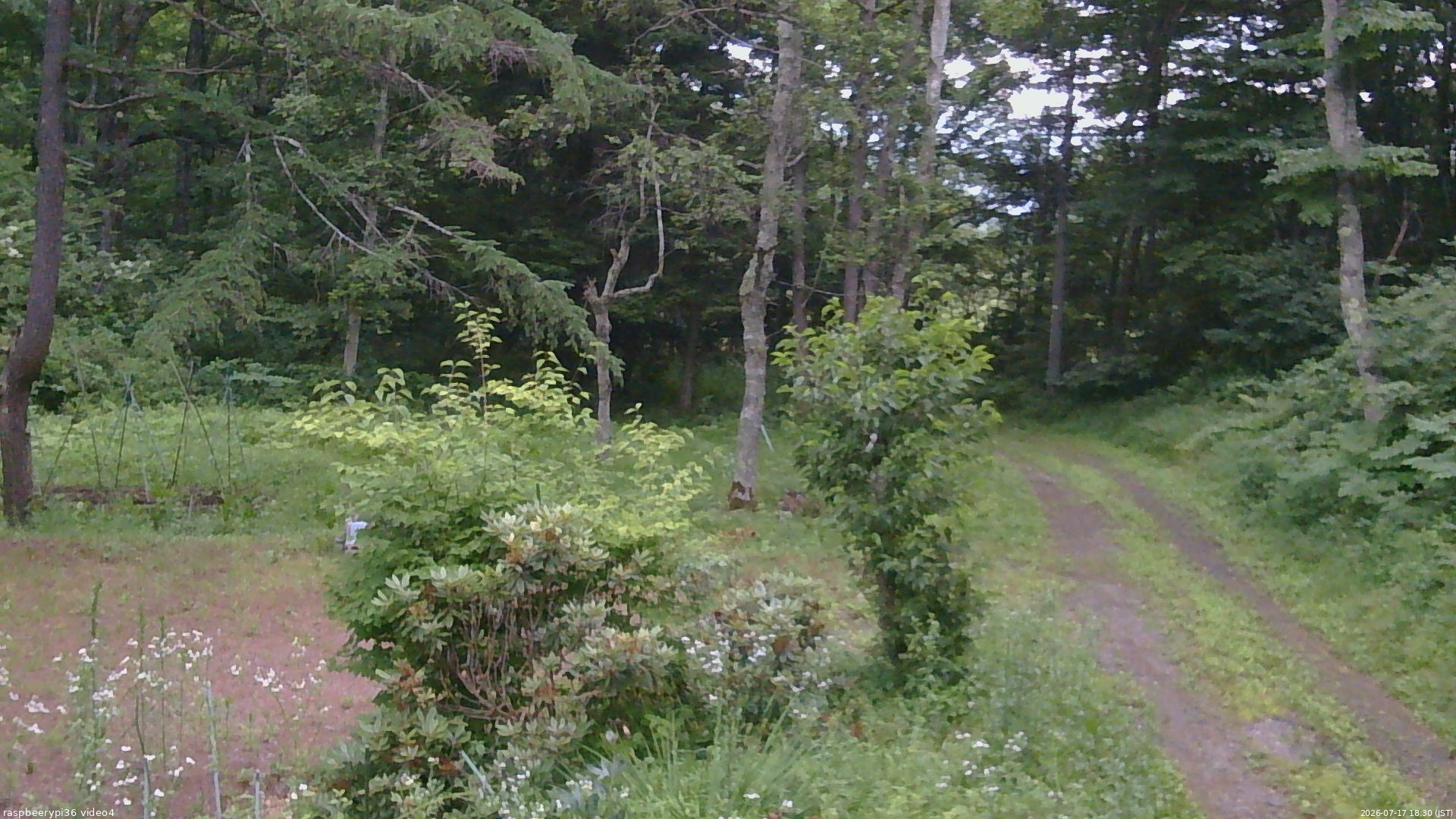 長野県菅平高原 ゆたか山荘 坂上 2026/07/17 18:30