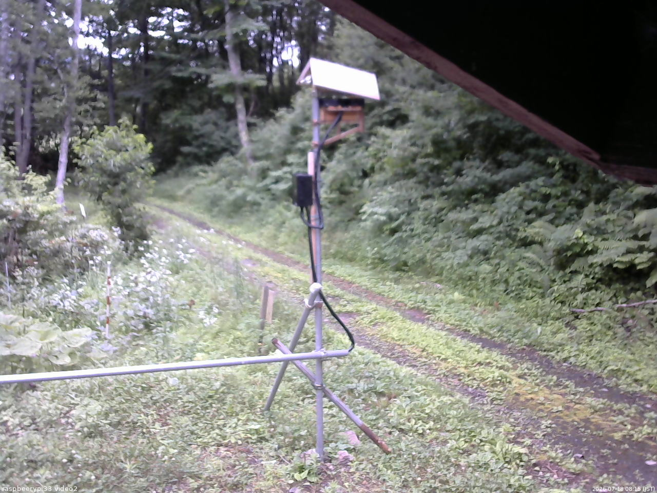 長野県菅平高原 ゆたか山荘 南側 2026/07/18 08:15