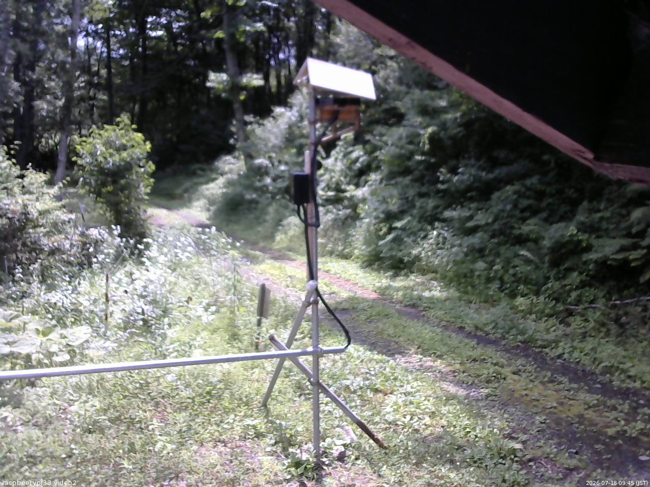 長野県菅平高原 ゆたか山荘 南側 2026/07/18 09:45