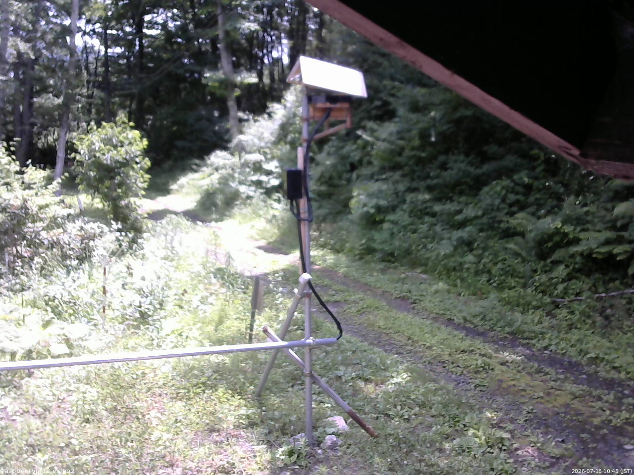 長野県菅平高原 ゆたか山荘 南側 2026/07/18 10:45