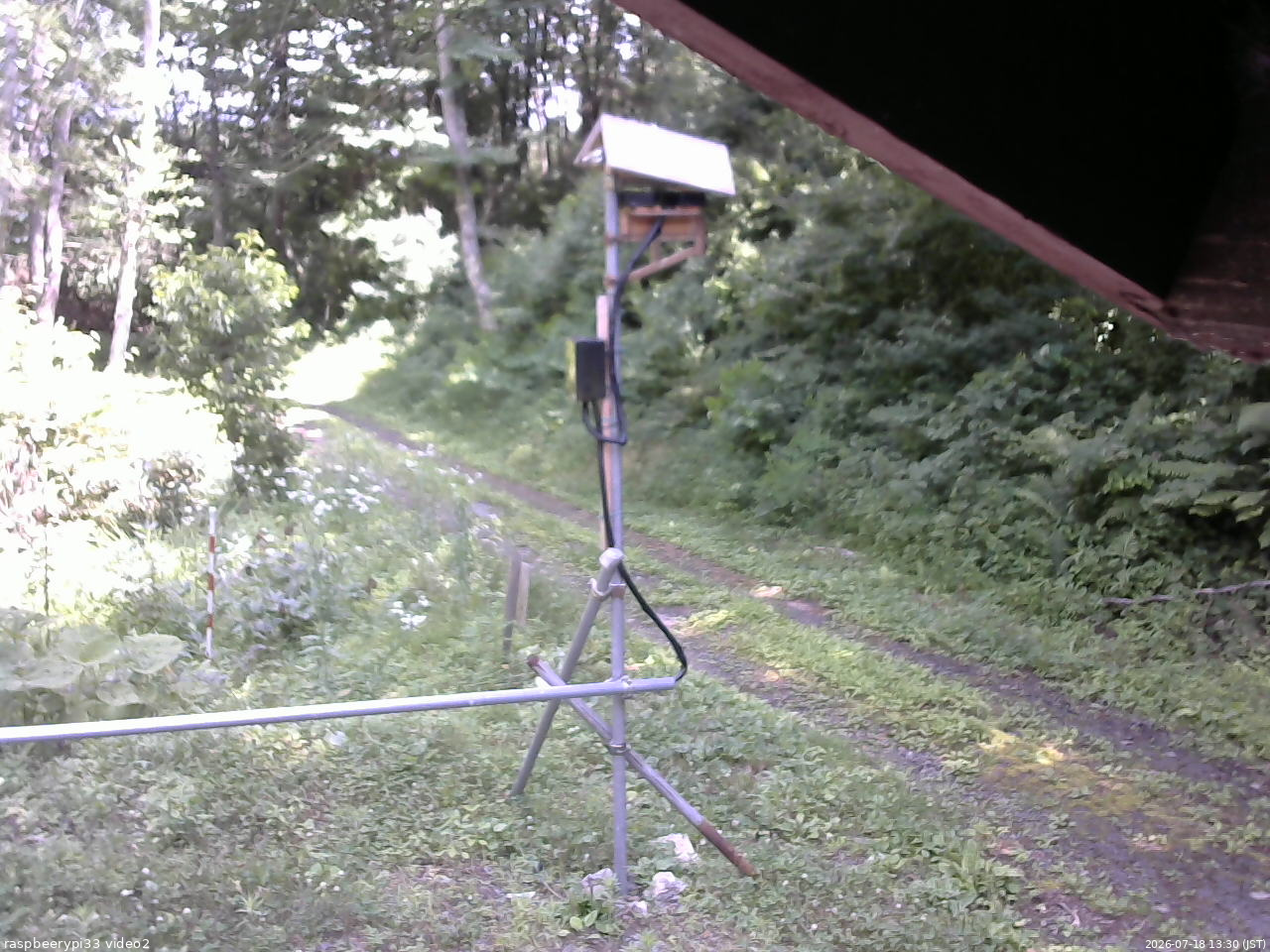 長野県菅平高原 ゆたか山荘 南側 2026/07/18 13:30
