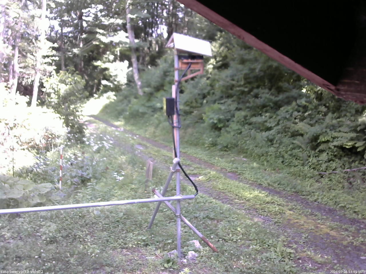 長野県菅平高原 ゆたか山荘 南側 2026/07/18 13:45