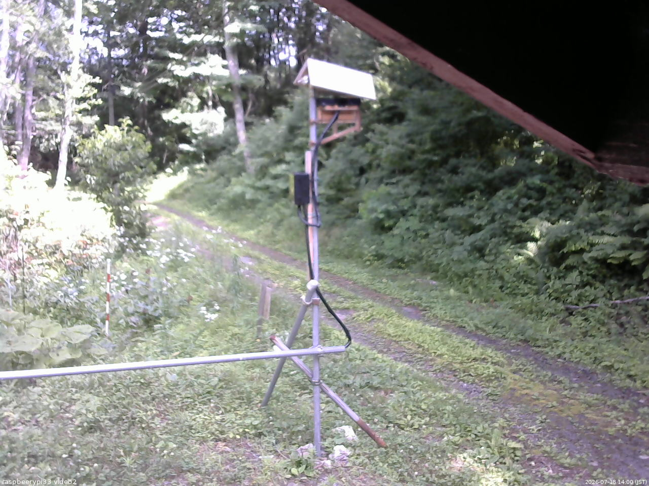 長野県菅平高原 ゆたか山荘 南側 2026/07/18 14:00