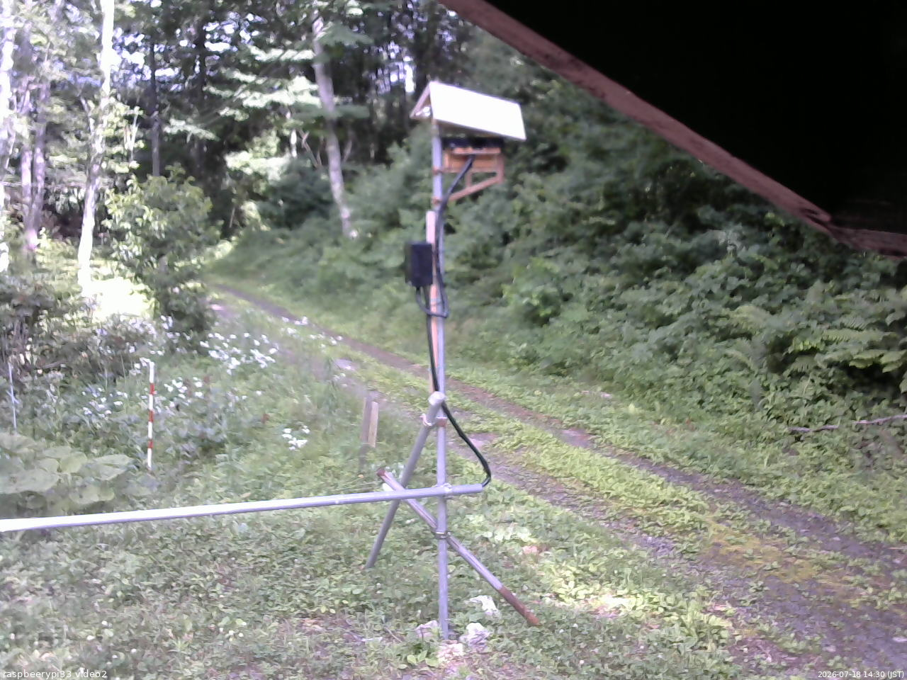 長野県菅平高原 ゆたか山荘 南側 2026/07/18 14:30