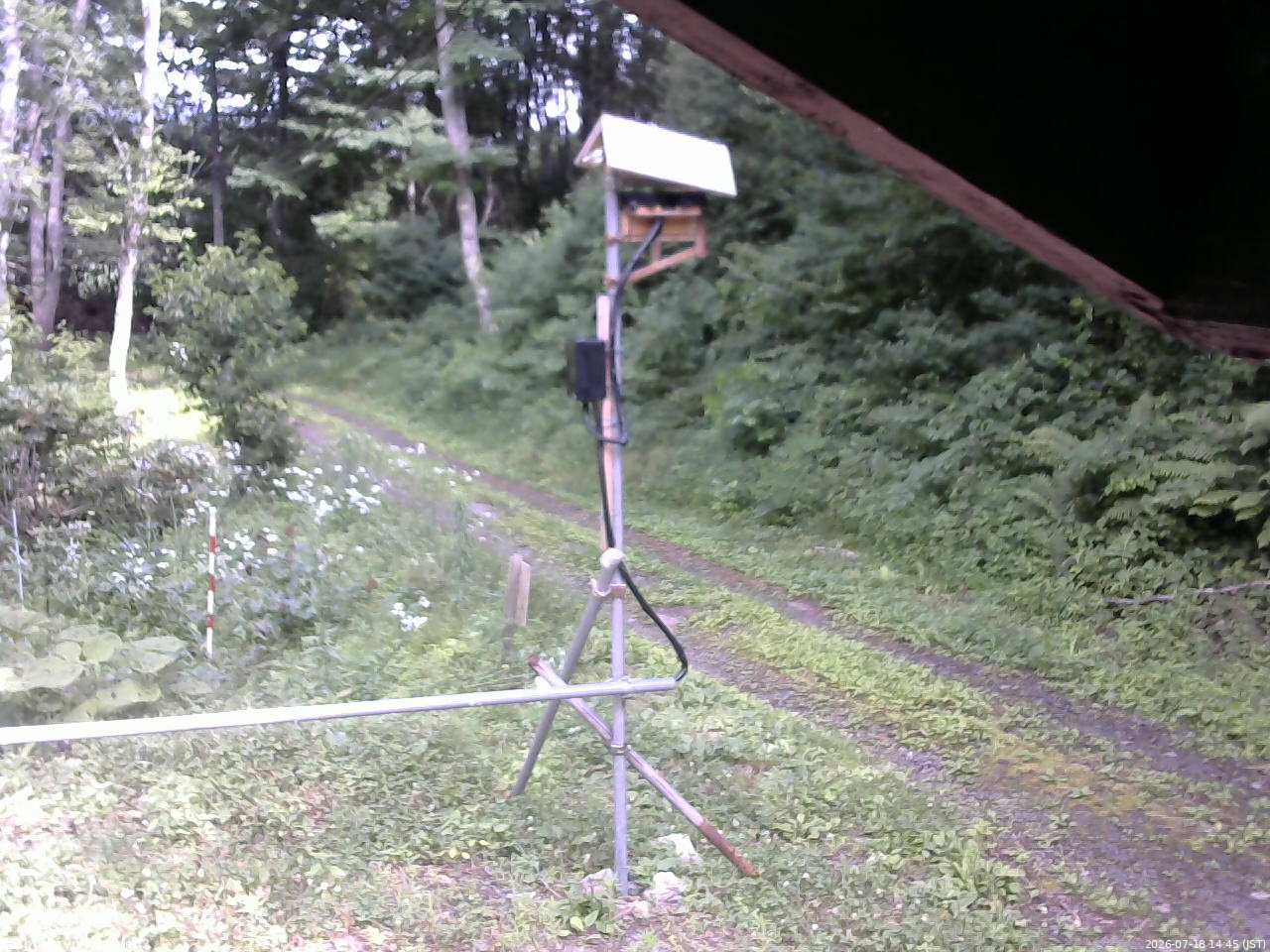 長野県菅平高原 ゆたか山荘 南側 2026/07/18 14:45