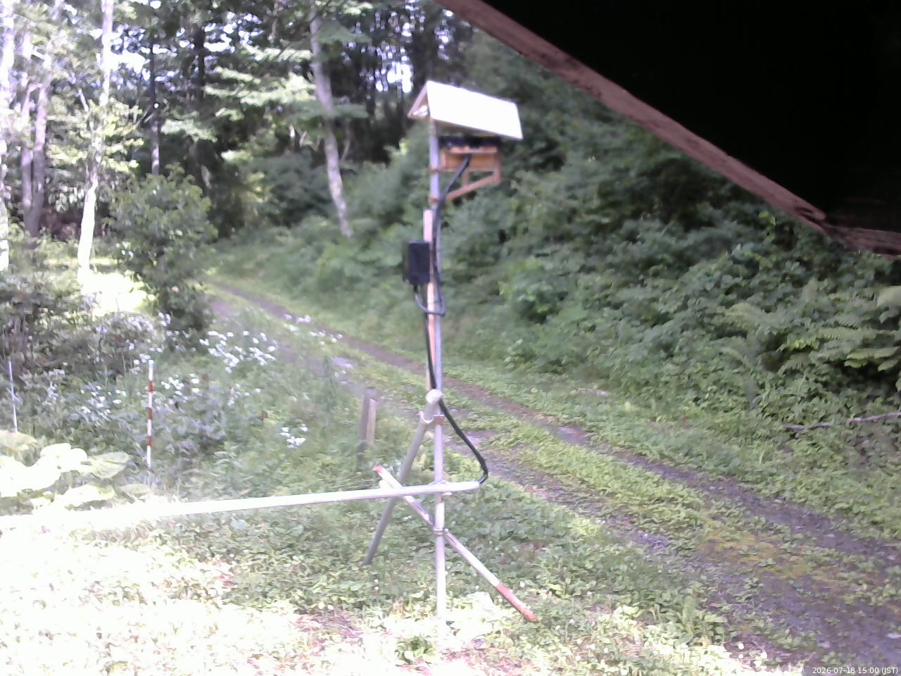 長野県菅平高原 ゆたか山荘 南側 2026/07/18 15:00