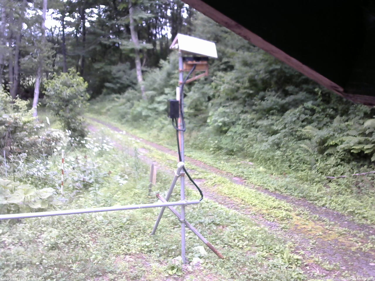 長野県菅平高原 ゆたか山荘 南側 2026/07/18 15:45