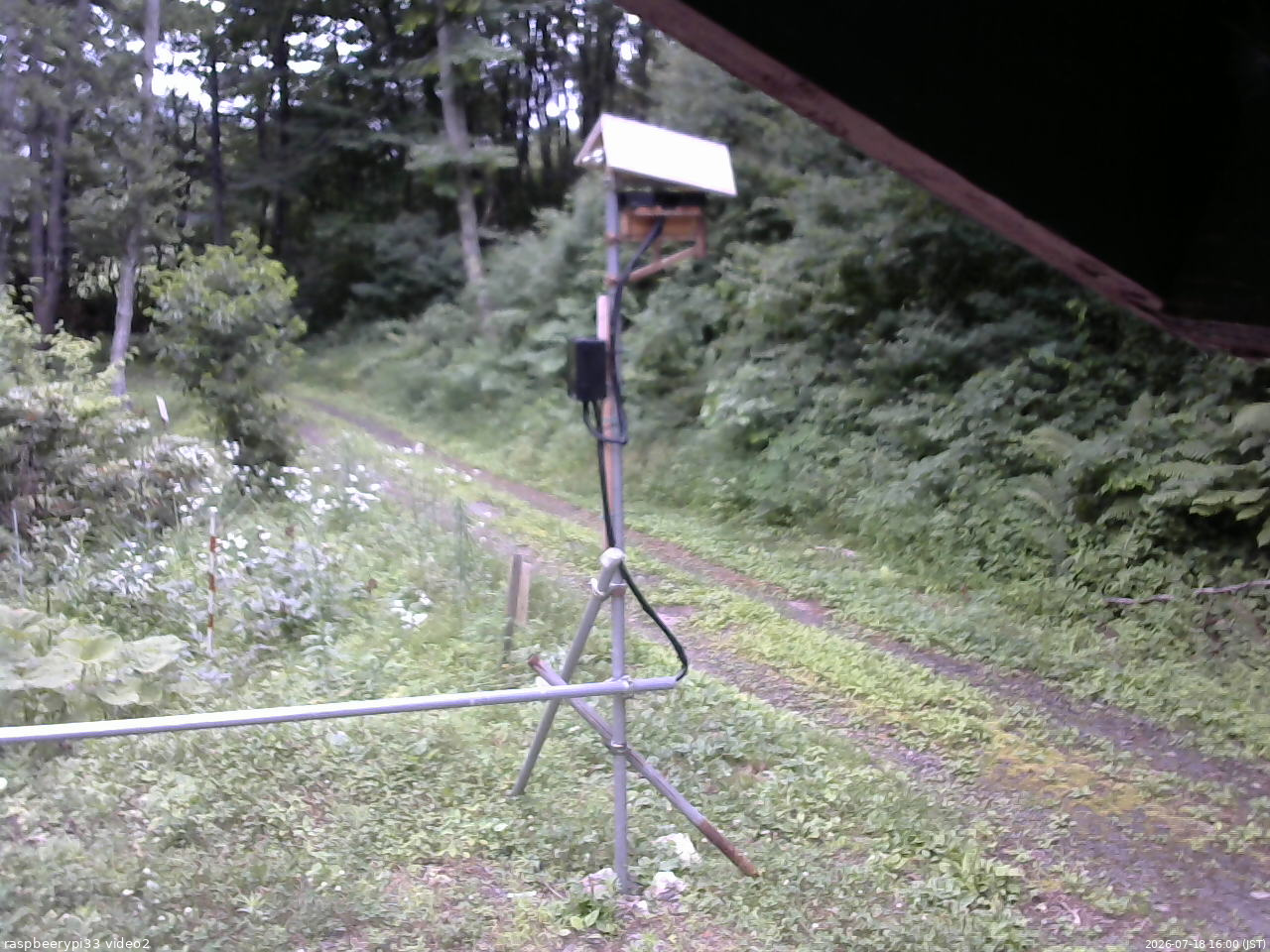 長野県菅平高原 ゆたか山荘 南側 2026/07/18 16:00