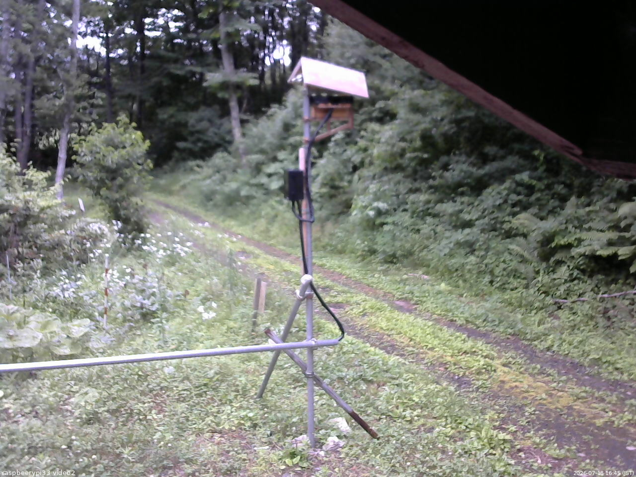 長野県菅平高原 ゆたか山荘 南側 2026/07/18 16:45