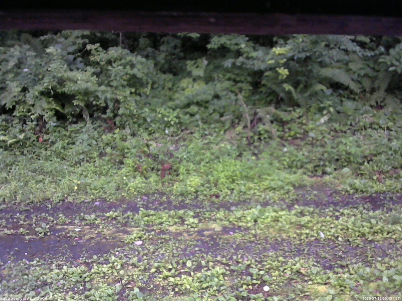 長野県菅平高原 ゆたか山荘 東側(坂下) 2026/07/18 05:45