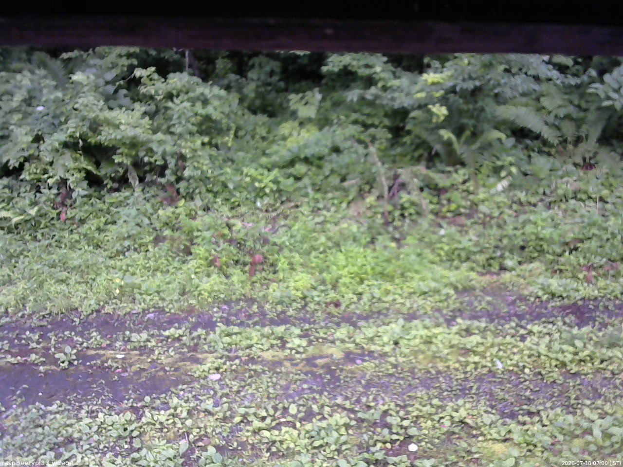 長野県菅平高原 ゆたか山荘 東側(坂下) 2026/07/18 07:00