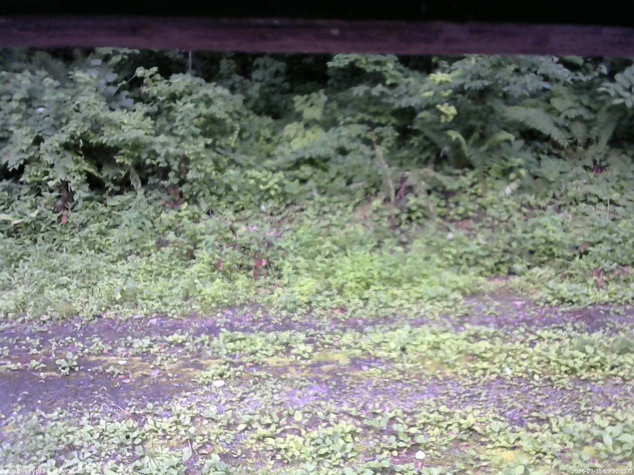 長野県菅平高原 ゆたか山荘 東側(坂下) 2026/07/18 09:30