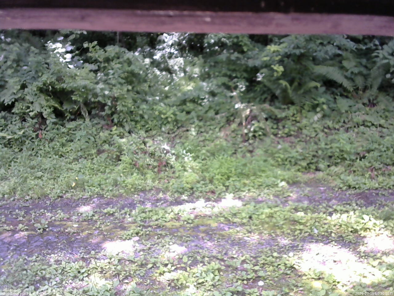 長野県菅平高原 ゆたか山荘 東側(坂下) 2026/07/18 10:30