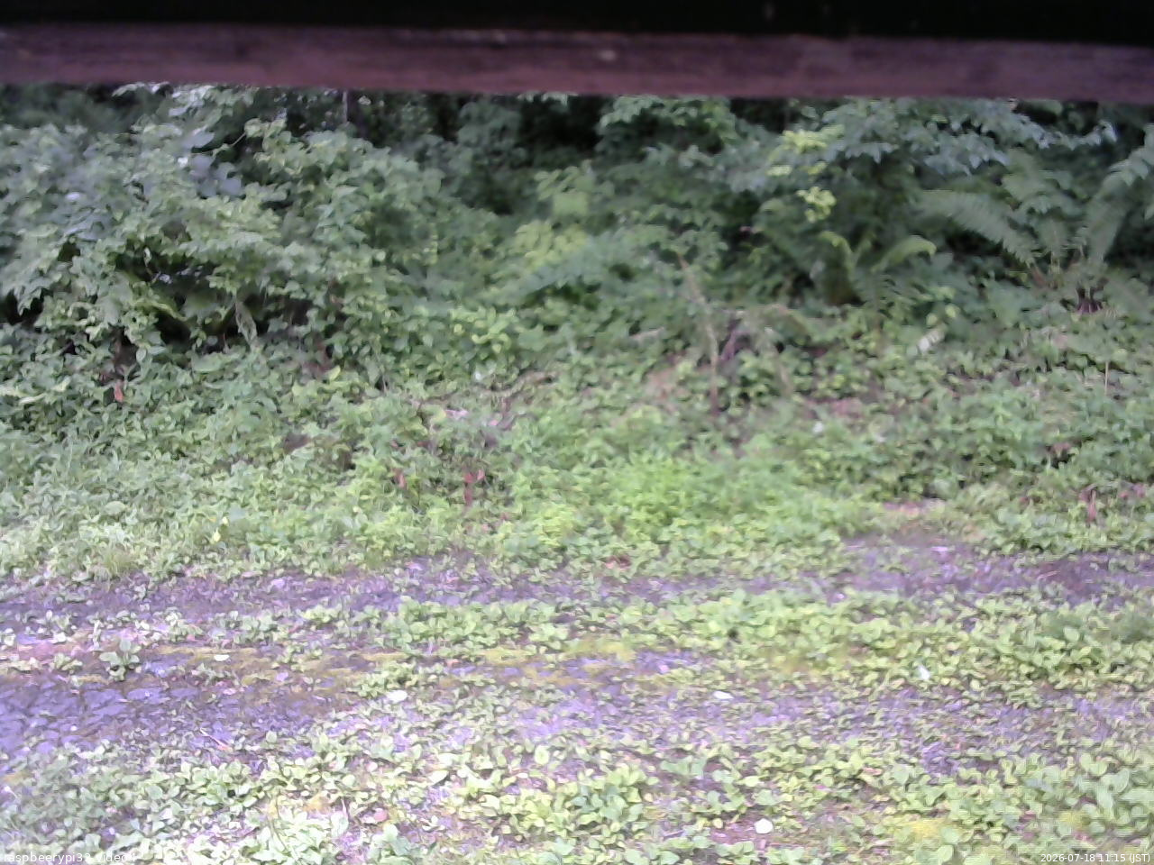 長野県菅平高原 ゆたか山荘 東側(坂下) 2026/07/18 11:15