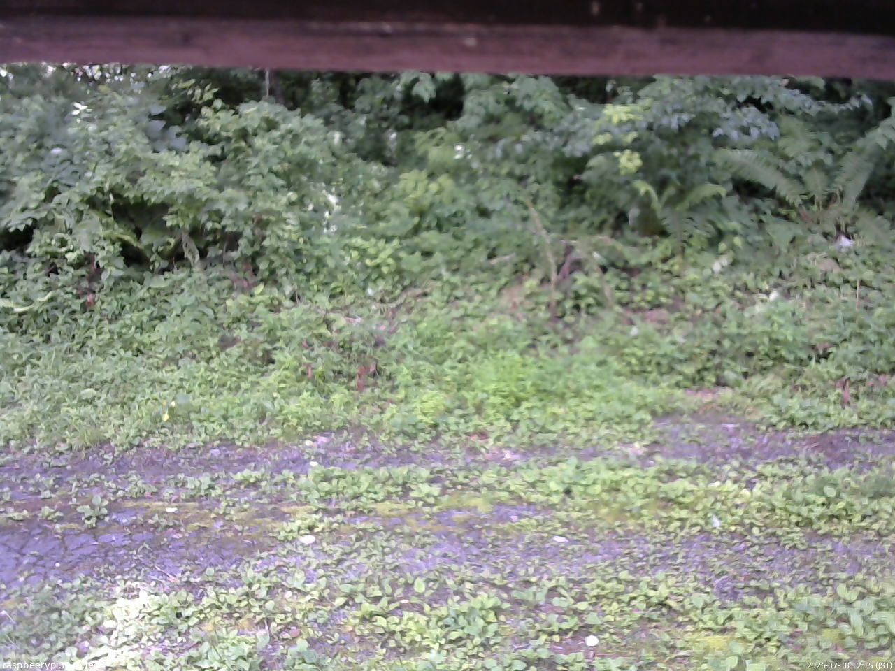 長野県菅平高原 ゆたか山荘 東側(坂下) 2026/07/18 12:15