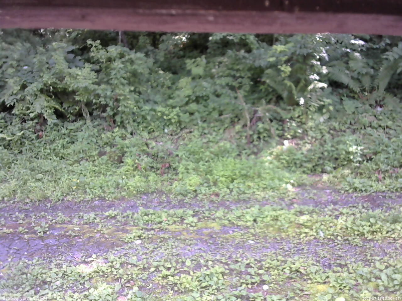 長野県菅平高原 ゆたか山荘 東側(坂下) 2026/07/18 13:30