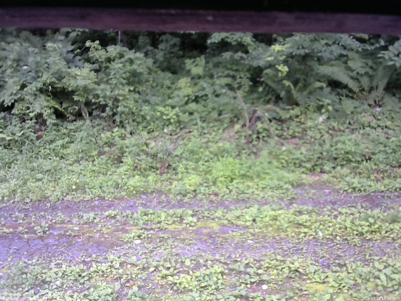 長野県菅平高原 ゆたか山荘 東側(坂下) 2026/07/18 15:30