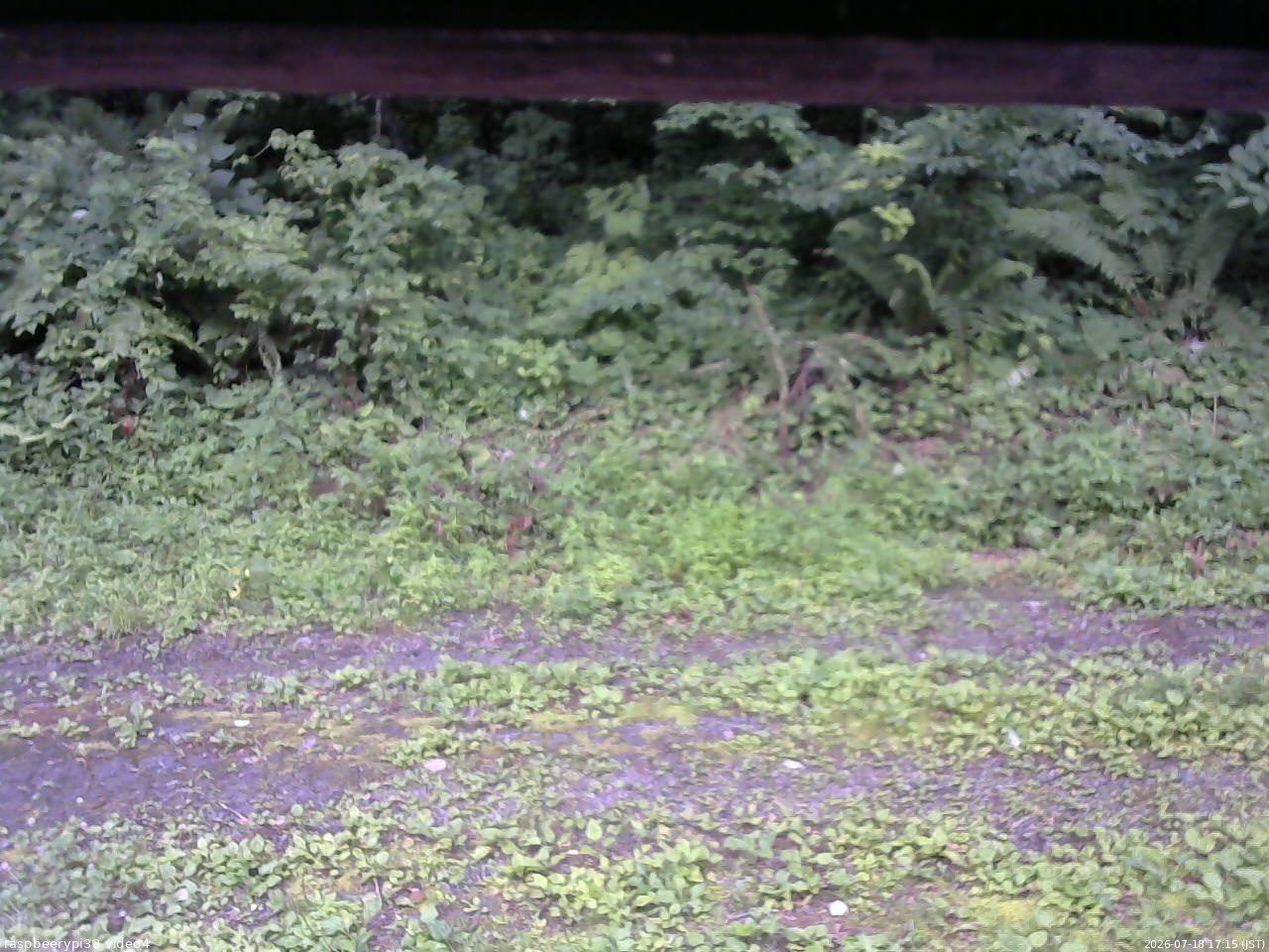 長野県菅平高原 ゆたか山荘 東側(坂下) 2026/07/18 17:15
