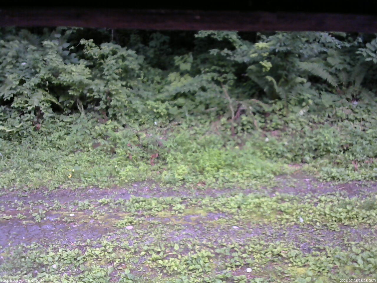 長野県菅平高原 ゆたか山荘 東側(坂下) 2026/07/18 18:15