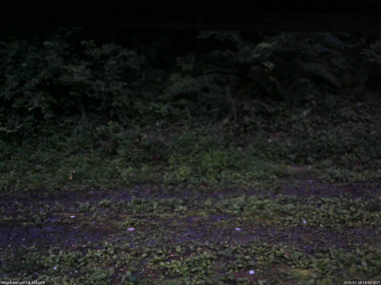 長野県菅平高原 ゆたか山荘 東側(坂下) 2026/07/18 19:00