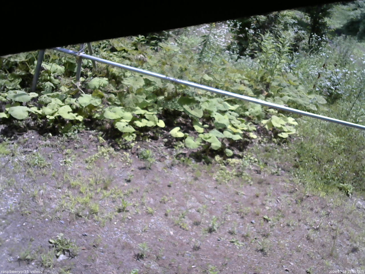 長野県菅平高原 ゆたか山荘 駐車場 2026/07/18 10:45