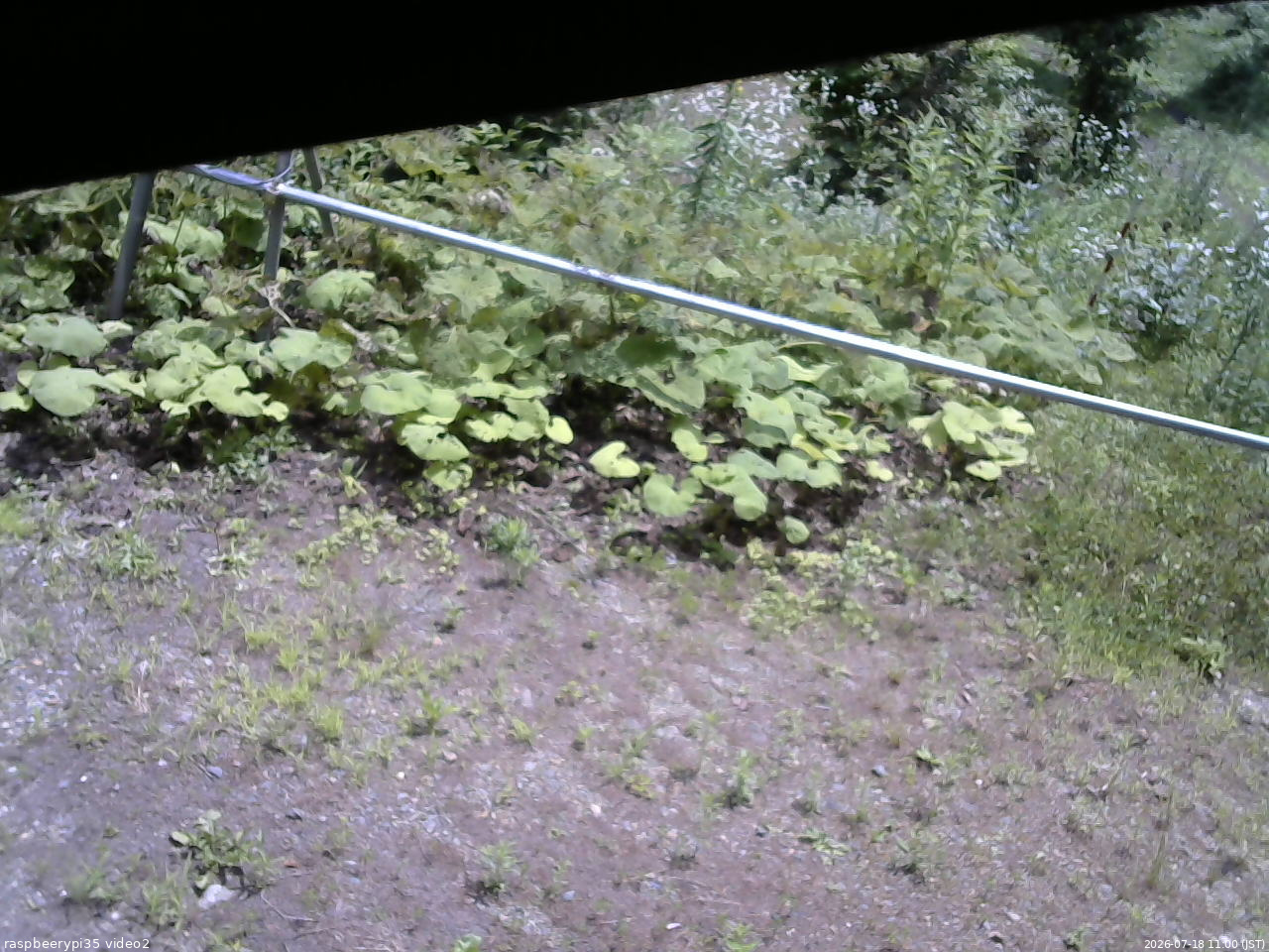 長野県菅平高原 ゆたか山荘 駐車場 2026/07/18 11:00