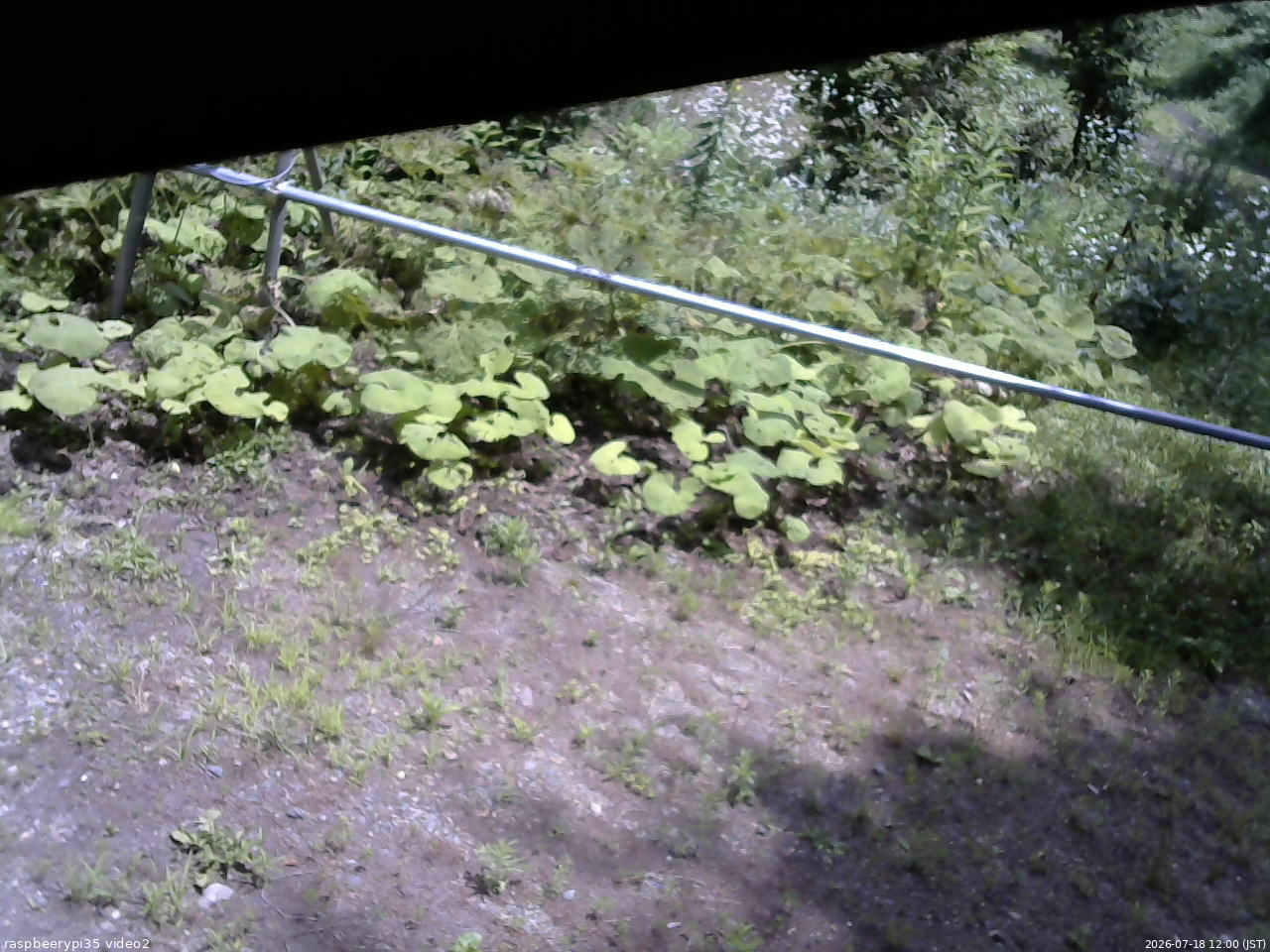 長野県菅平高原 ゆたか山荘 駐車場 2026/07/18 12:00
