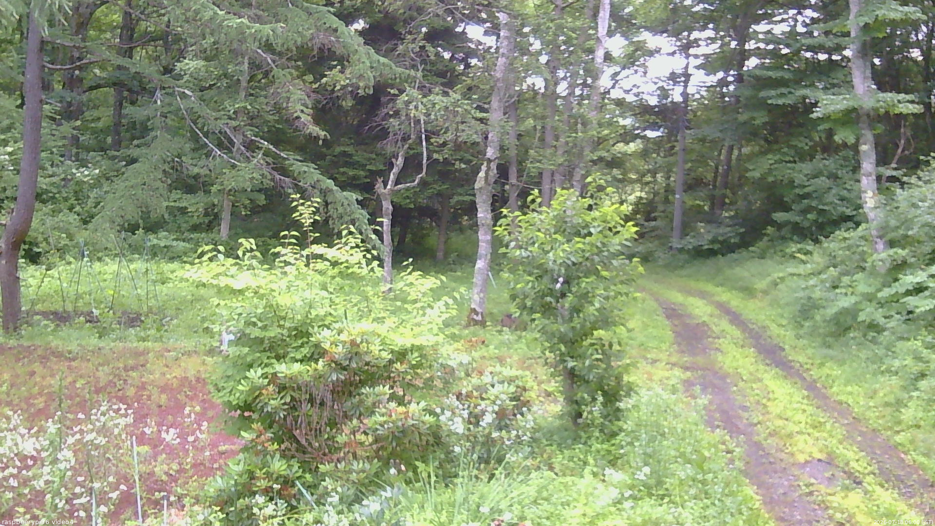 長野県菅平高原 ゆたか山荘 坂上 2026/07/18 06:00