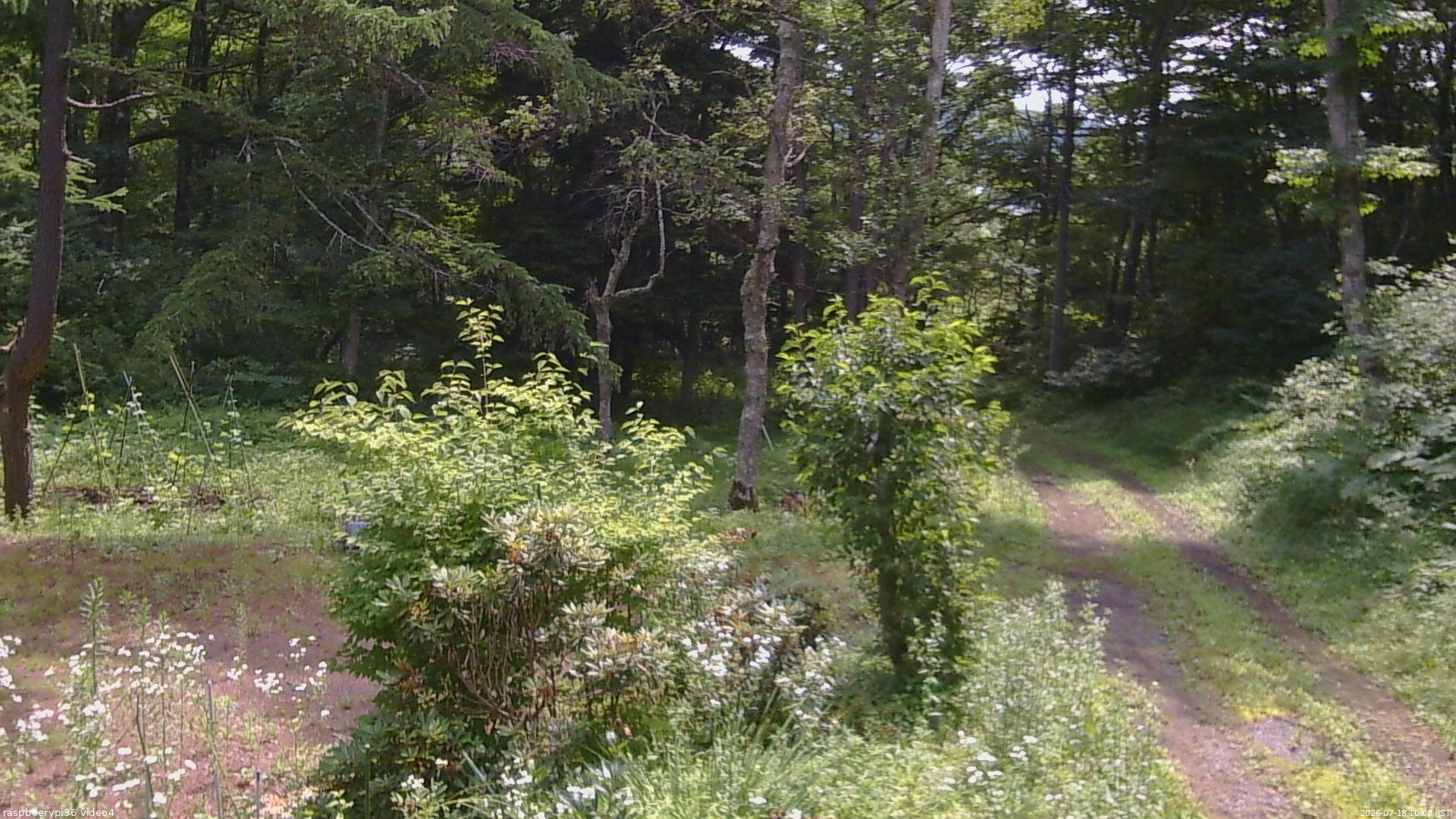 長野県菅平高原 ゆたか山荘 坂上 2026/07/18 10:00