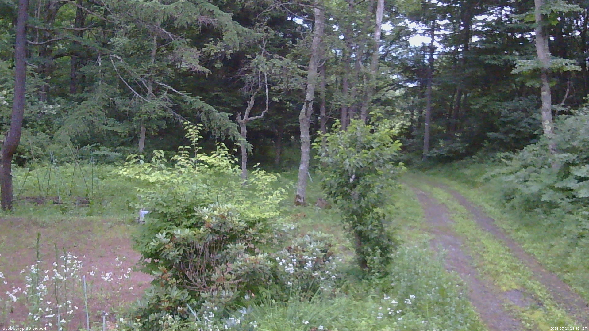 長野県菅平高原 ゆたか山荘 坂上 2026/07/18 18:30
