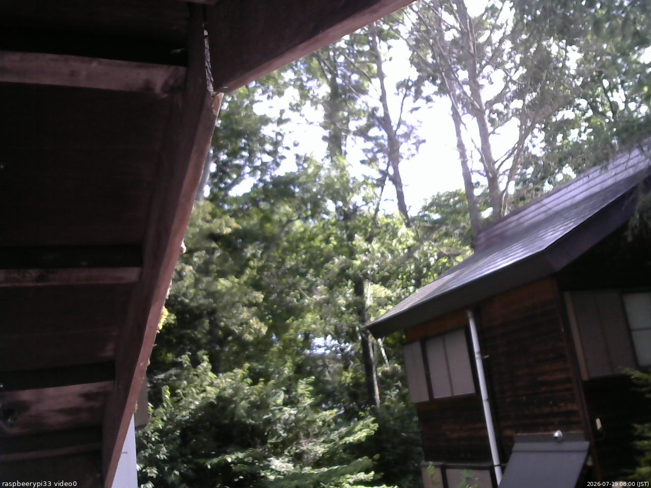 長野県菅平高原 ゆたか山荘 北側 2026/07/19 08:00