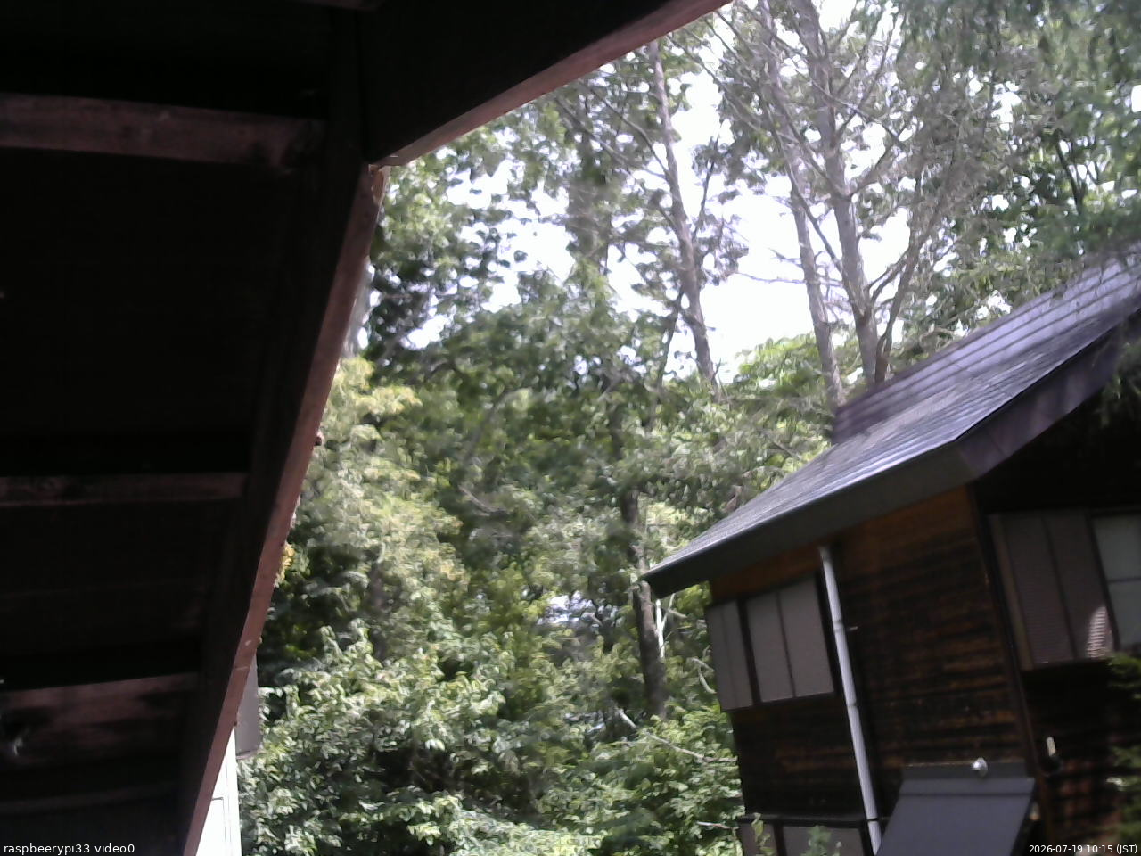 長野県菅平高原 ゆたか山荘 北側 2026/07/19 10:15