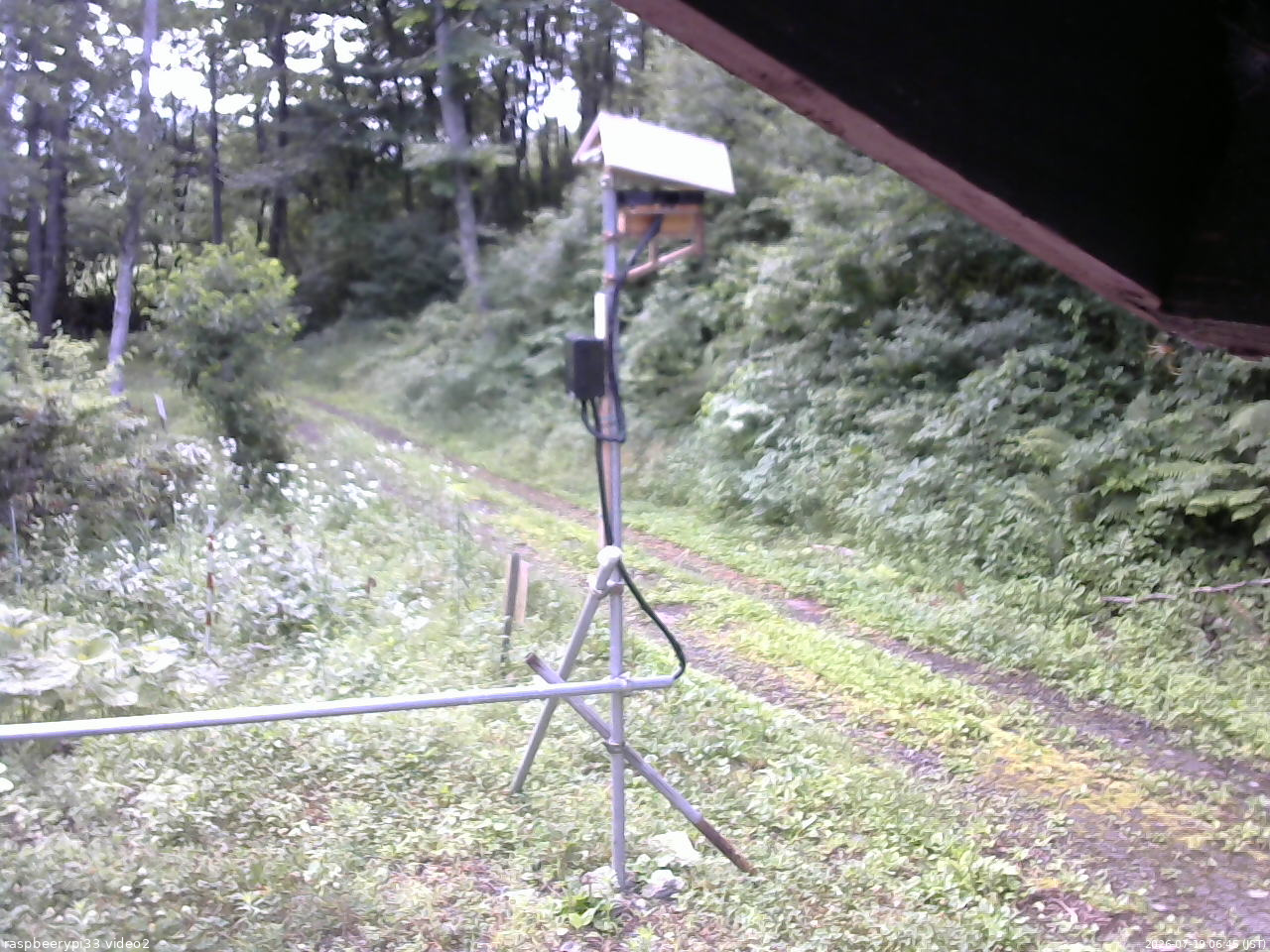 長野県菅平高原 ゆたか山荘 南側 2026/07/19 06:45