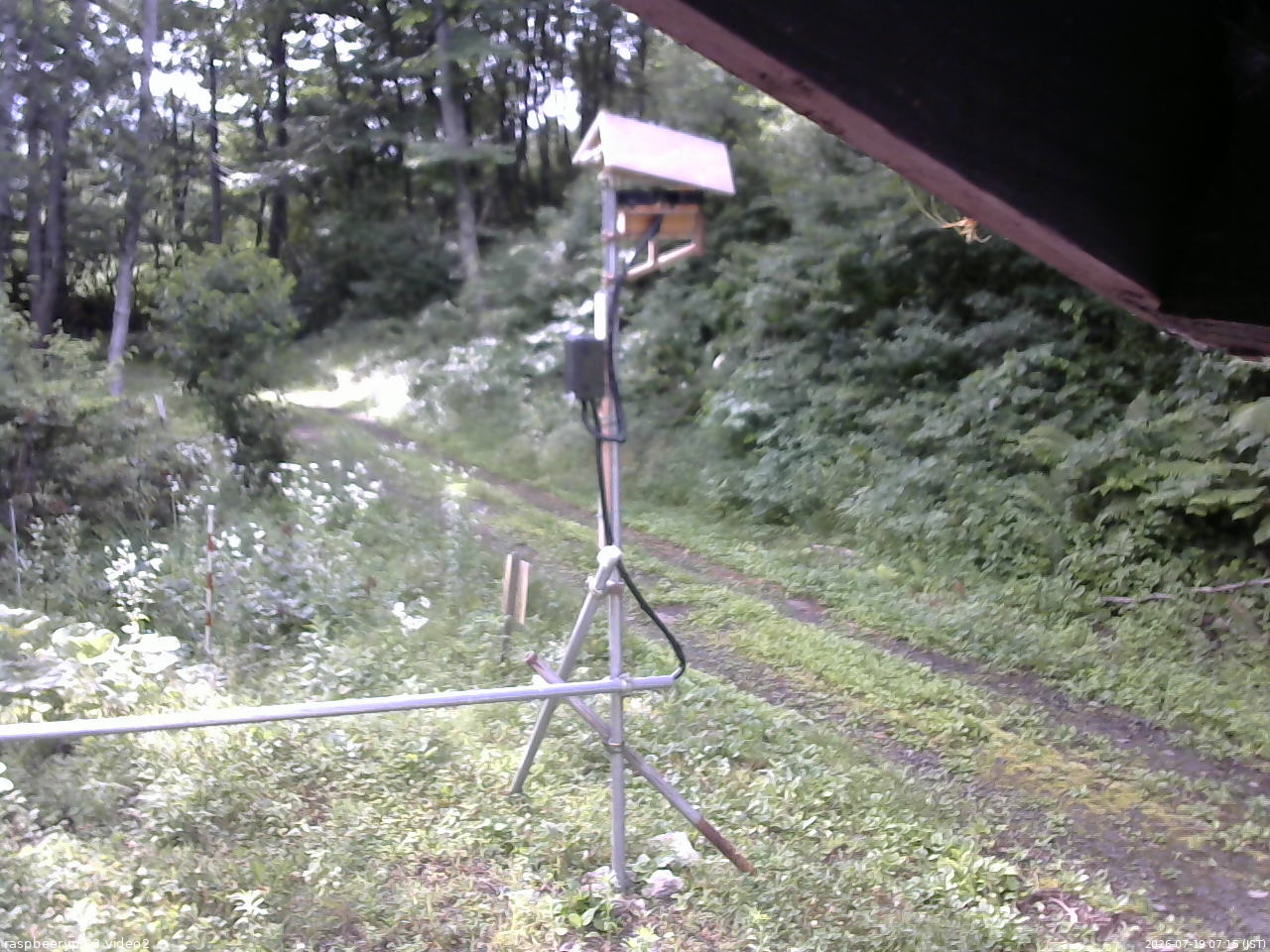長野県菅平高原 ゆたか山荘 南側 2026/07/19 07:15