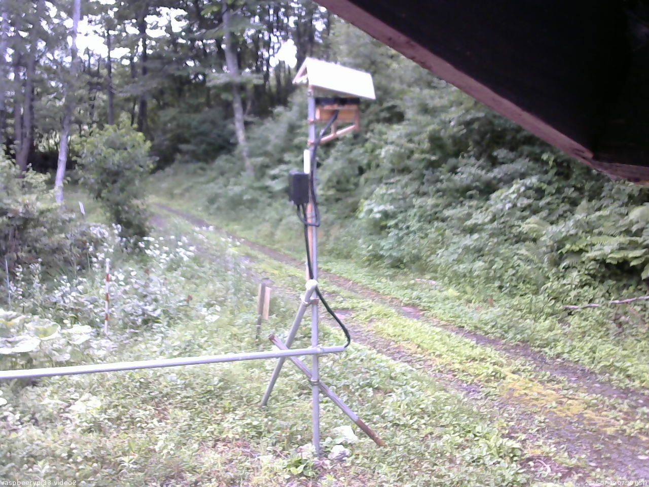 長野県菅平高原 ゆたか山荘 南側 2026/07/19 07:30