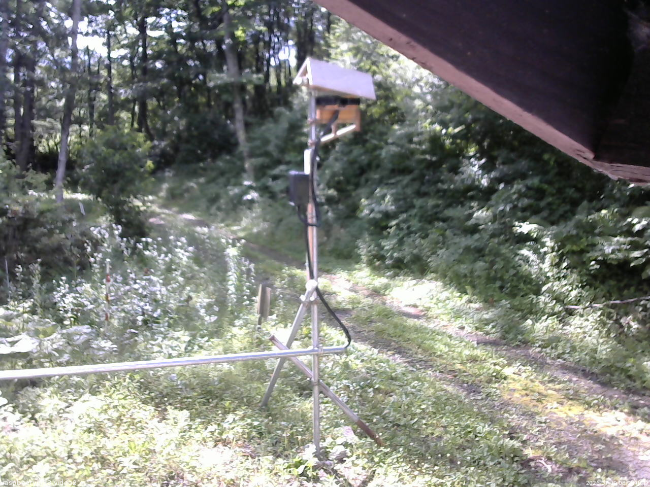 長野県菅平高原 ゆたか山荘 南側 2026/07/19 08:00