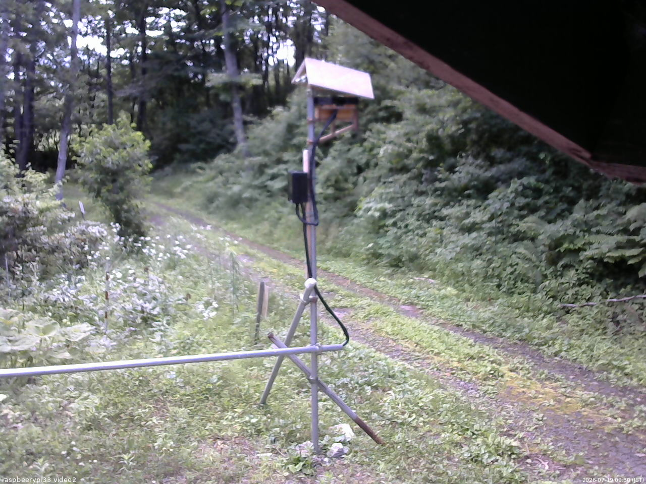 長野県菅平高原 ゆたか山荘 南側 2026/07/19 09:30